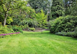 Optimiser l'expérience du jardin à Fontenelle-Montby